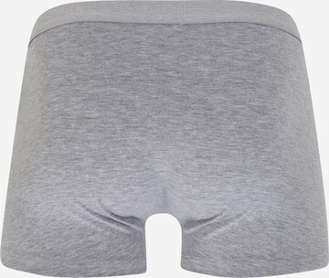 ABOUT YOU Boxershorts 'Boxer' in Blau