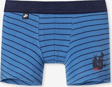 SCHIESSER Boxer 'Capt'n Sharky' in Blau