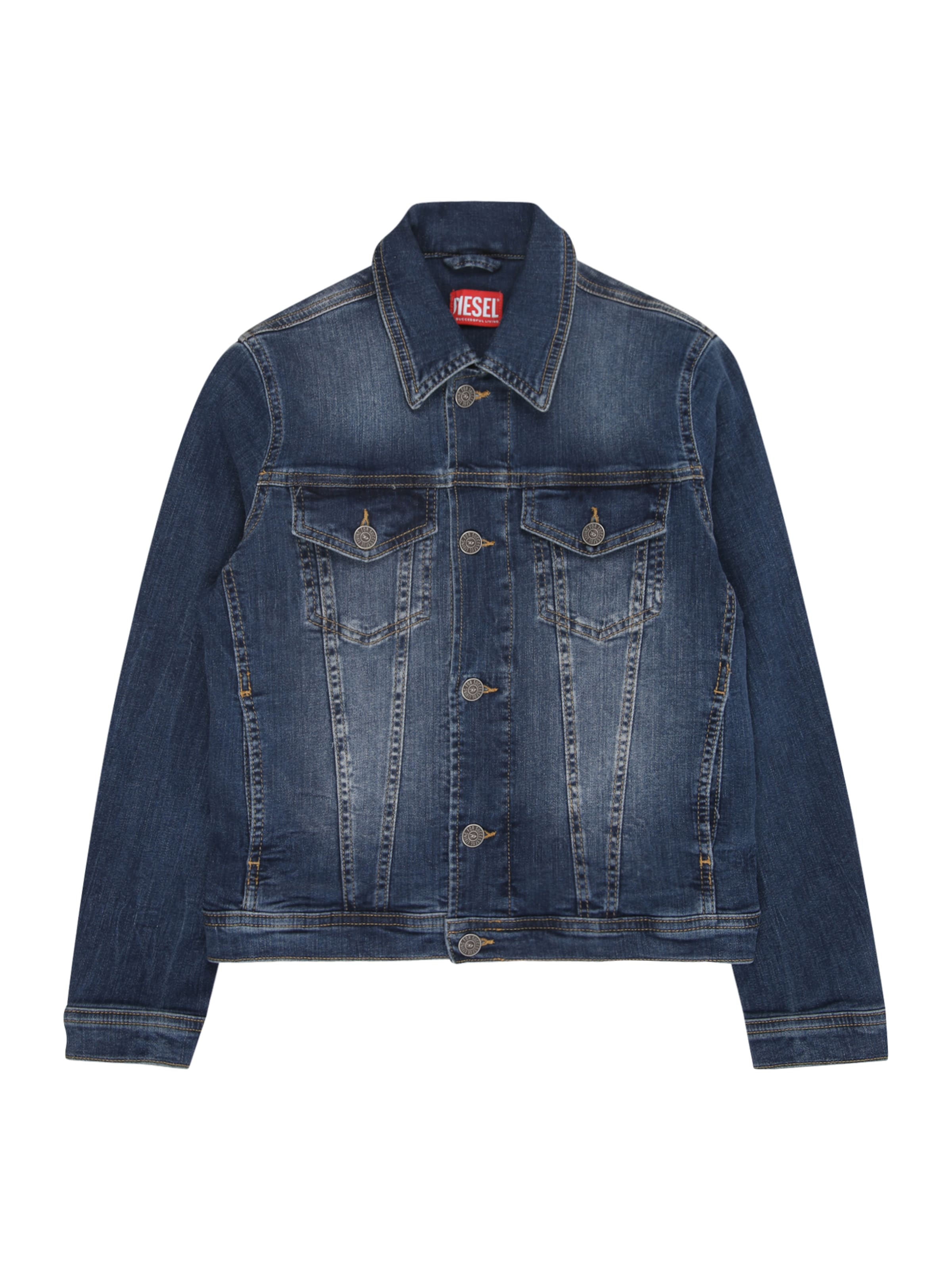 DIESEL Between-Season Jacket in Blue: front