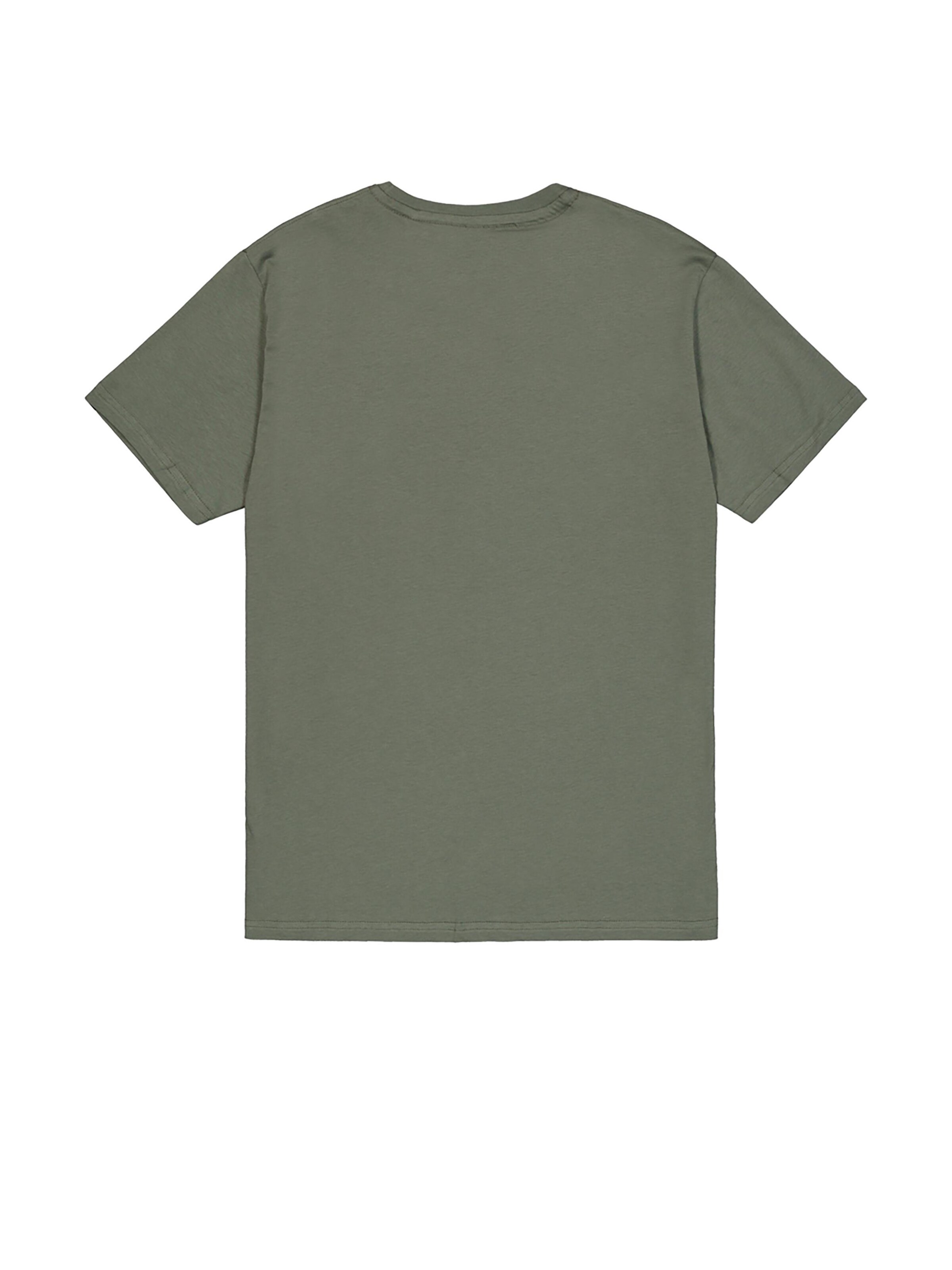 ALPHA INDUSTRIES Shirt 'Alpha PP'‌‌‌ in Grün