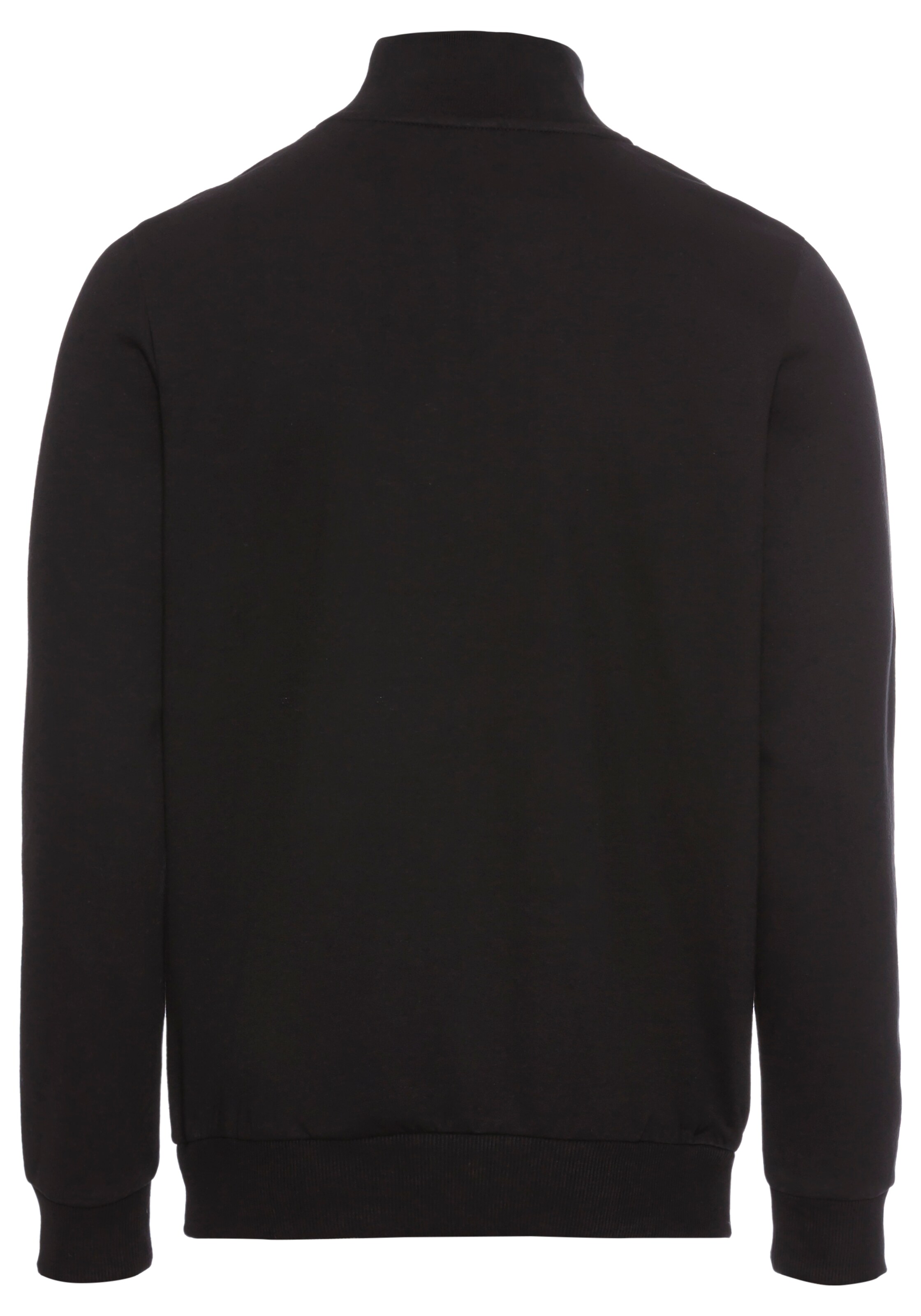 Bruno Banani LM Sweatshirt in Schwarz