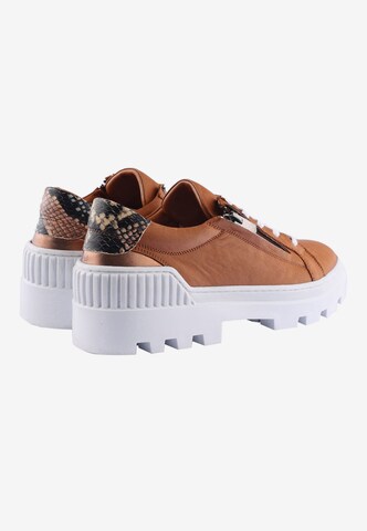 D.MoRo Shoes Sneakers 'Zerosix' in Brown