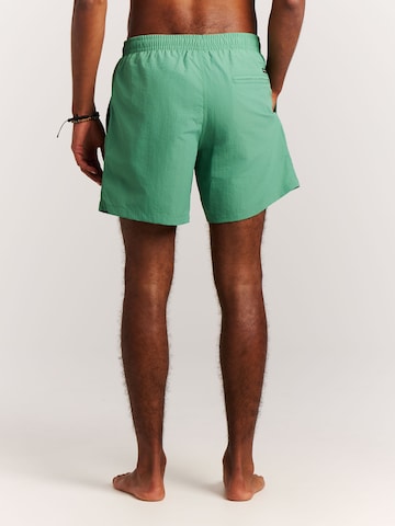 PROTEST Badeshorts 'Faster'‌‌‌‌ in Grün