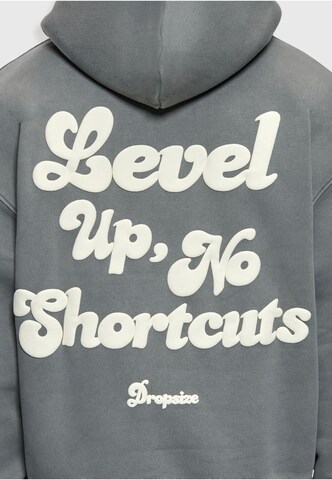 Dropsize Sweatshirt in Grau