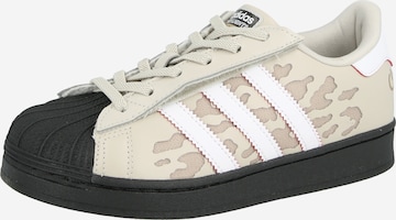 ADIDAS ORIGINALS Sneakersy 'SUPERSTAR' w kolorze szary: przód