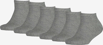 TOMMY HILFIGER Sokken in Grijs: voorkant
