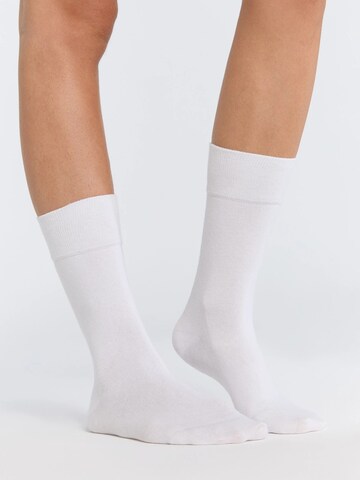 Albero Natur Socks 'Bio-Baumwoll-Socken mit längerem Bündchen - 2er Pack' in White