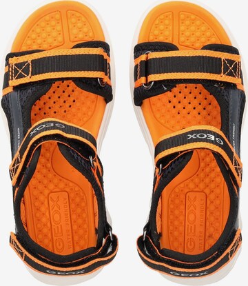 GEOX Sandale in Orange