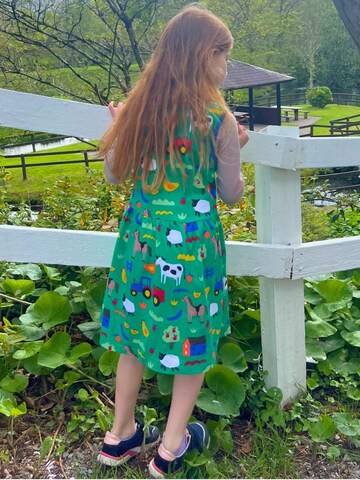 Toby Tiger Kleid‌‌‌‌‌‌‌‌‌‌ in Grün