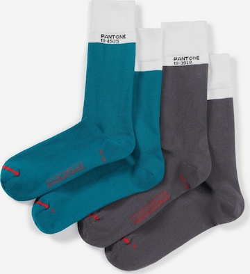 Pantone made by MuseARTa Socks 'Glacier' in Blue: front