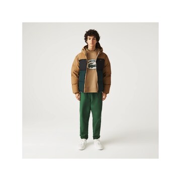 LACOSTE Winter Jacket in Mixed colors