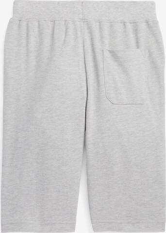 Polo Ralph Lauren Regular Shorts in Grau