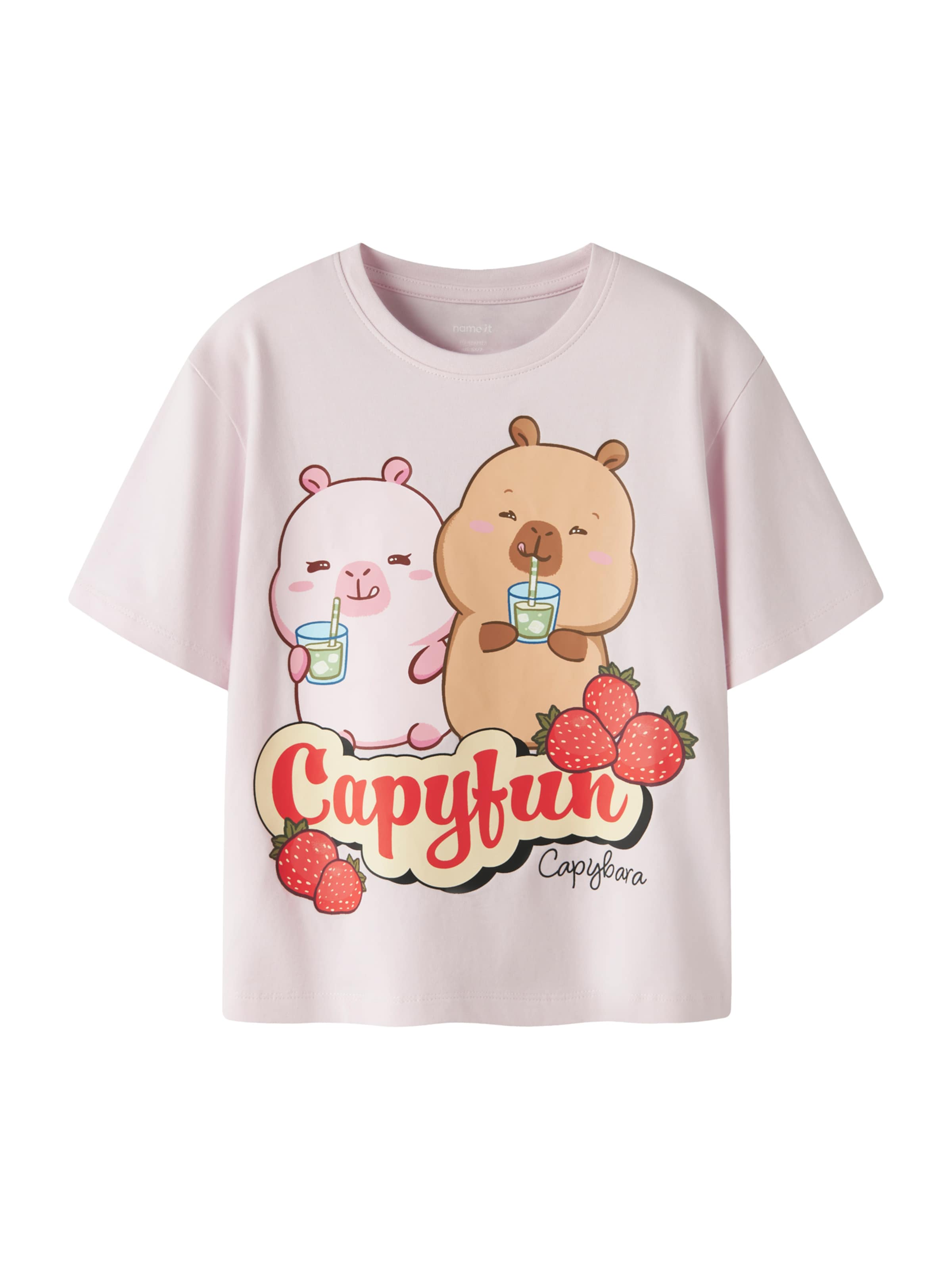 NAME IT Majica 'NKFAbbi Capybara' | roza barva: sprednja stran