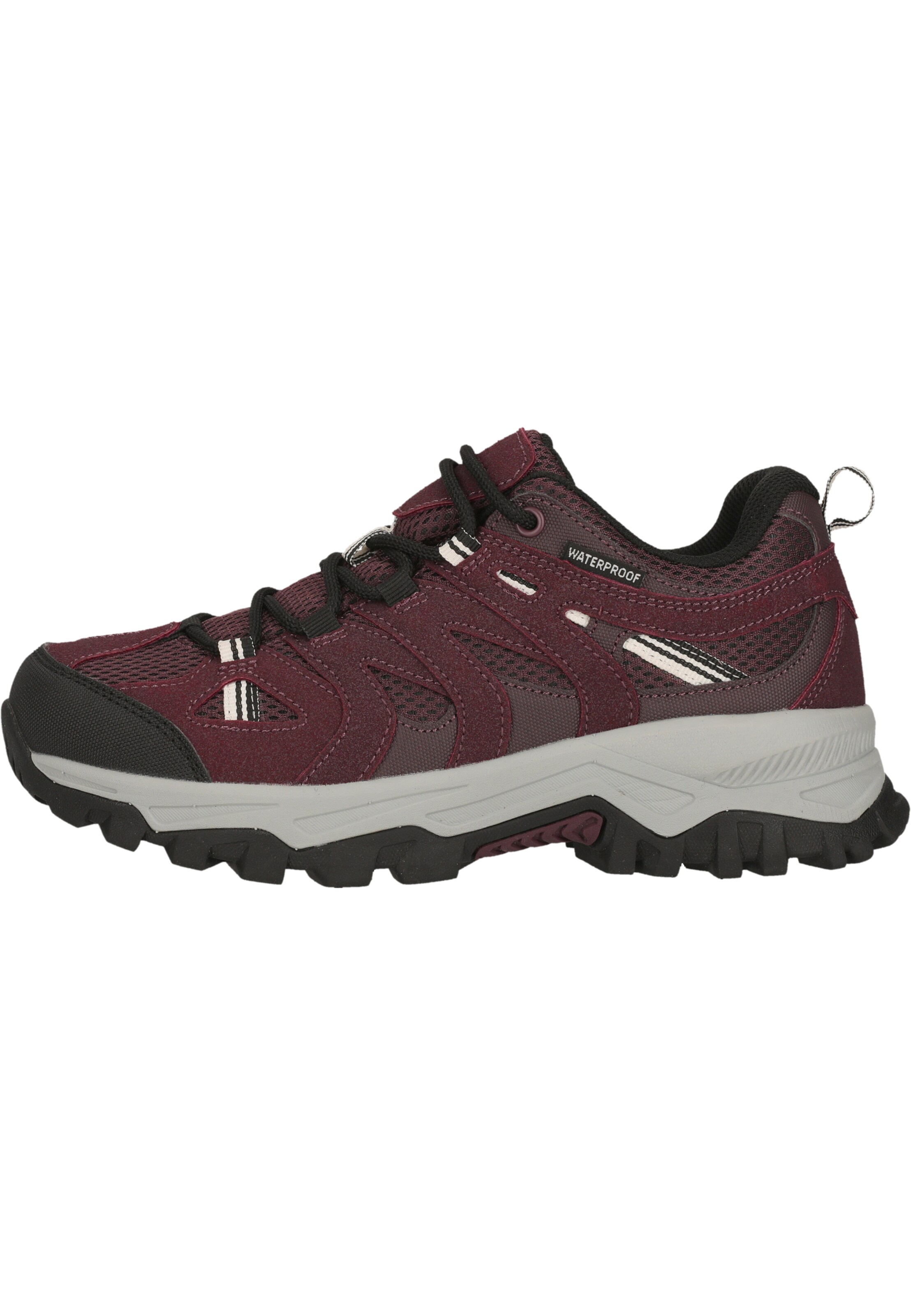 Whistler Wanderschuhe 'Terx' in Rot