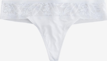 balta Next Siaurikės: priekis