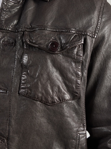 FREAKY NATION Overgangsjakke i brun