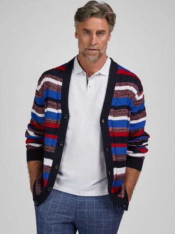 HECHTER PARIS Knit cardigan in Mixed colours: front