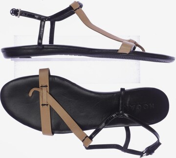 HOGAN Sandals & High-Heeled Sandals in 42 in Black: front