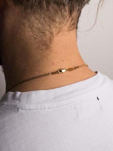 Akitsune Necklace 'Immortalitas' in Gold