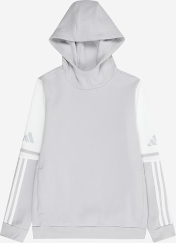 ADIDAS PERFORMANCE Sportsweatshirt in Grau: Vorderseite