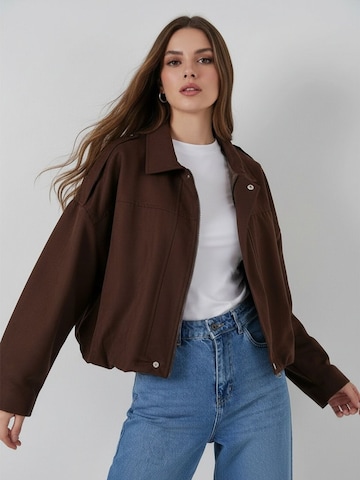 Veste d’hiver 'Jacken' Bigdart en marron