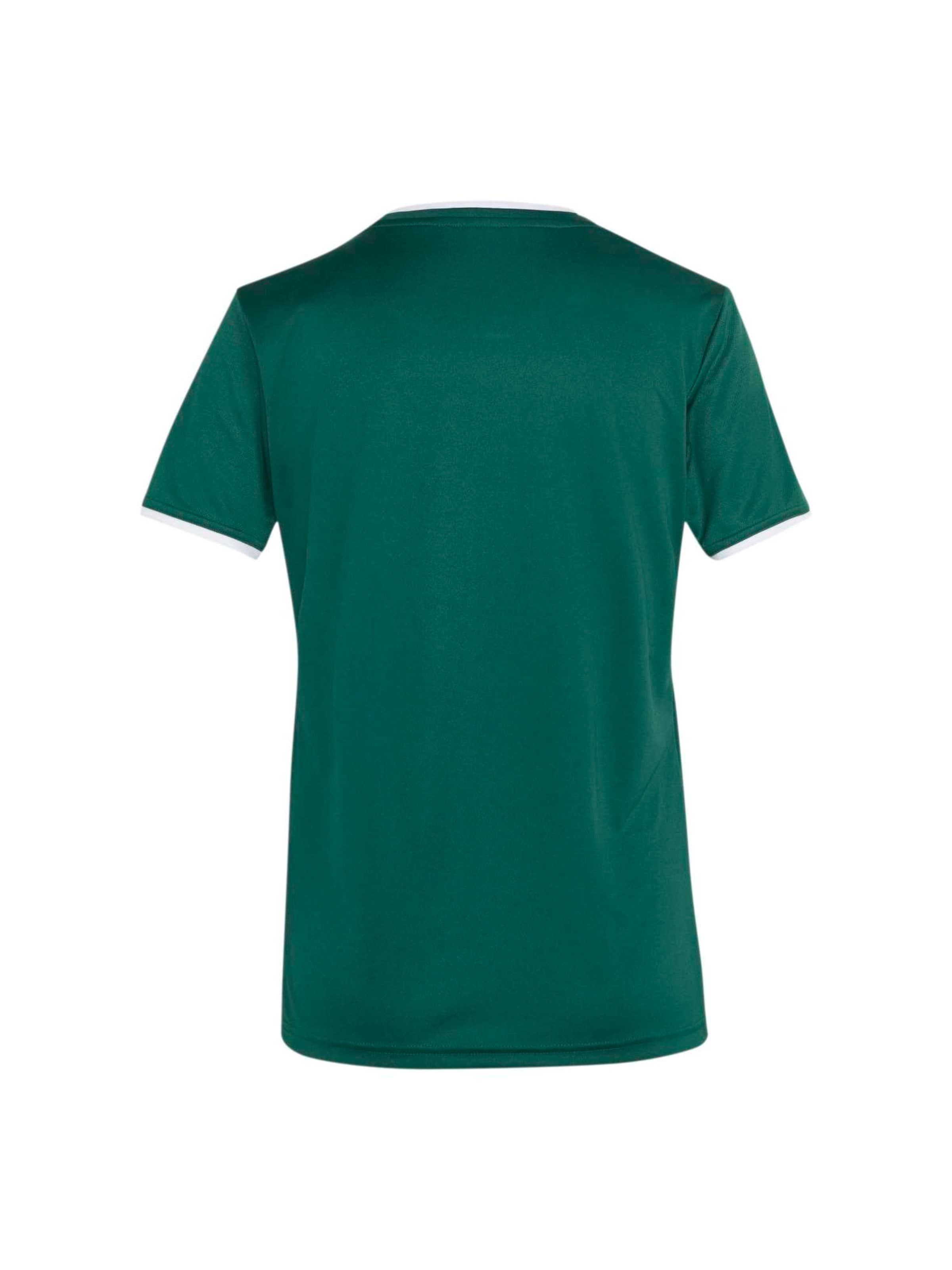 Tricou funcțional 'ENT26' de la ADIDAS PERFORMANCE pe verde