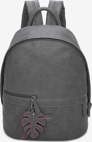 Fritzi aus Preußen Rucksack 'Eco Fritzi07' in Grau: predná strana