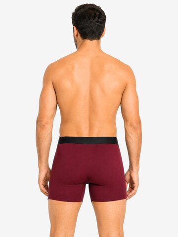 SITZTGUT Boxershorts‌‌ in Rot
