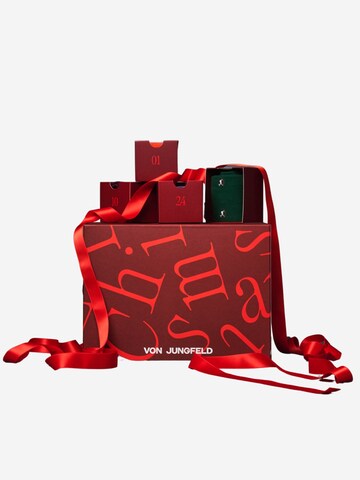 Von Jungfeld Socks 'Weihnachtskalender mit Socken' in Mixed colors