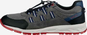 GEOX Sneakers 'Delray' in Grey