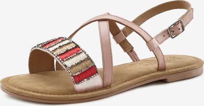 LASCANA Remienkové sandále - piesková / púdrová / svetločervená / biela, Produkt