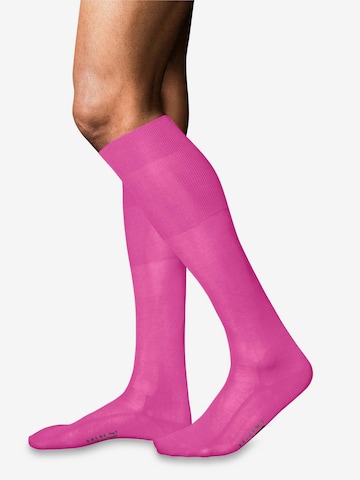 FALKE Knee High Socks 'No. 9 Pure Fil d´Écosse' in Pink