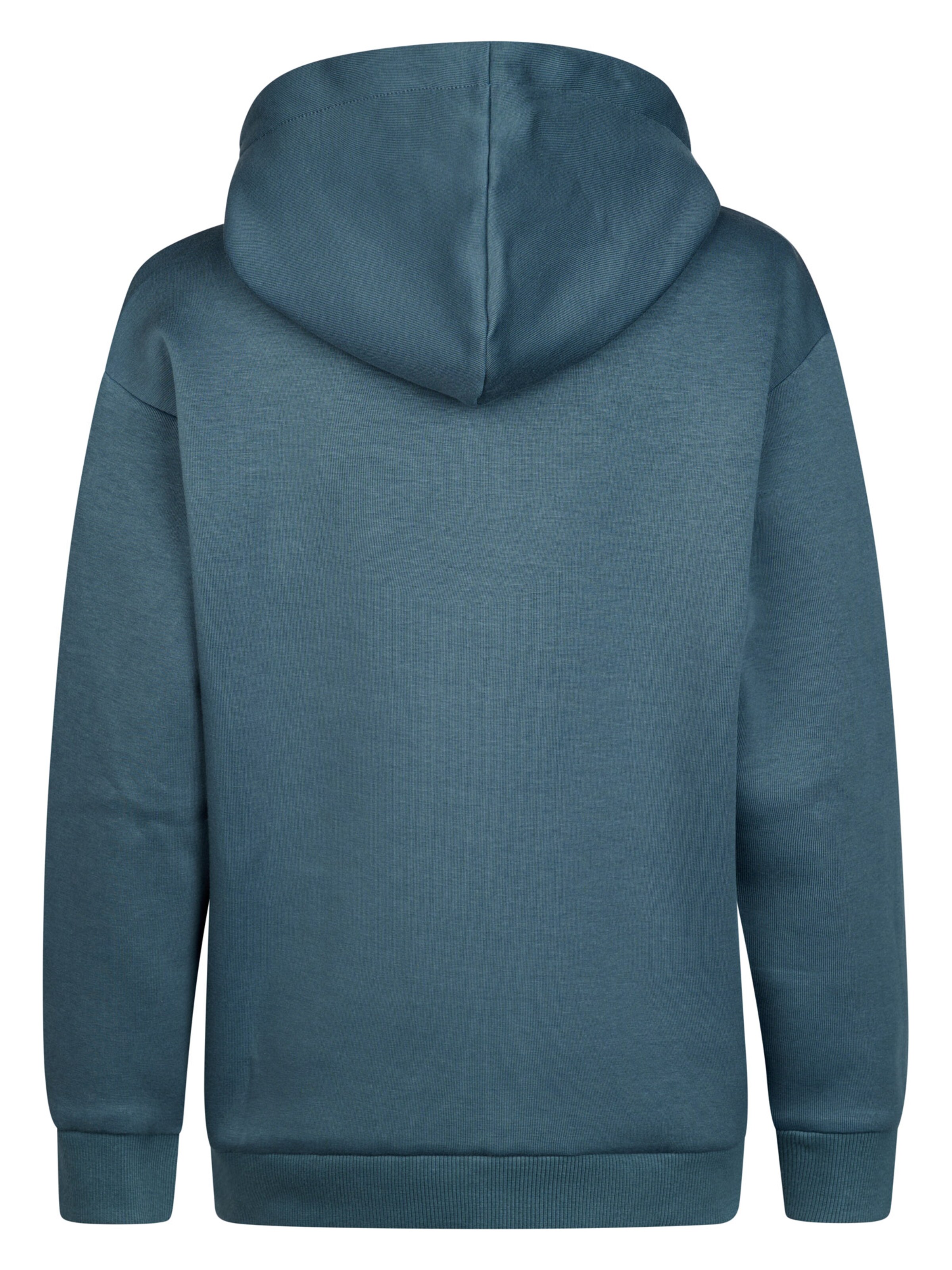 Petrol Industries Sweatshirt in Blauw