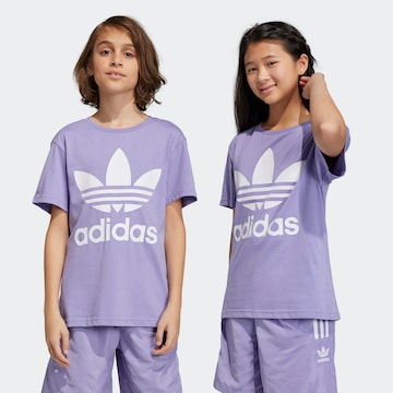 ADIDAS ORIGINALS Shirt 'Trefoil' in Purple: front