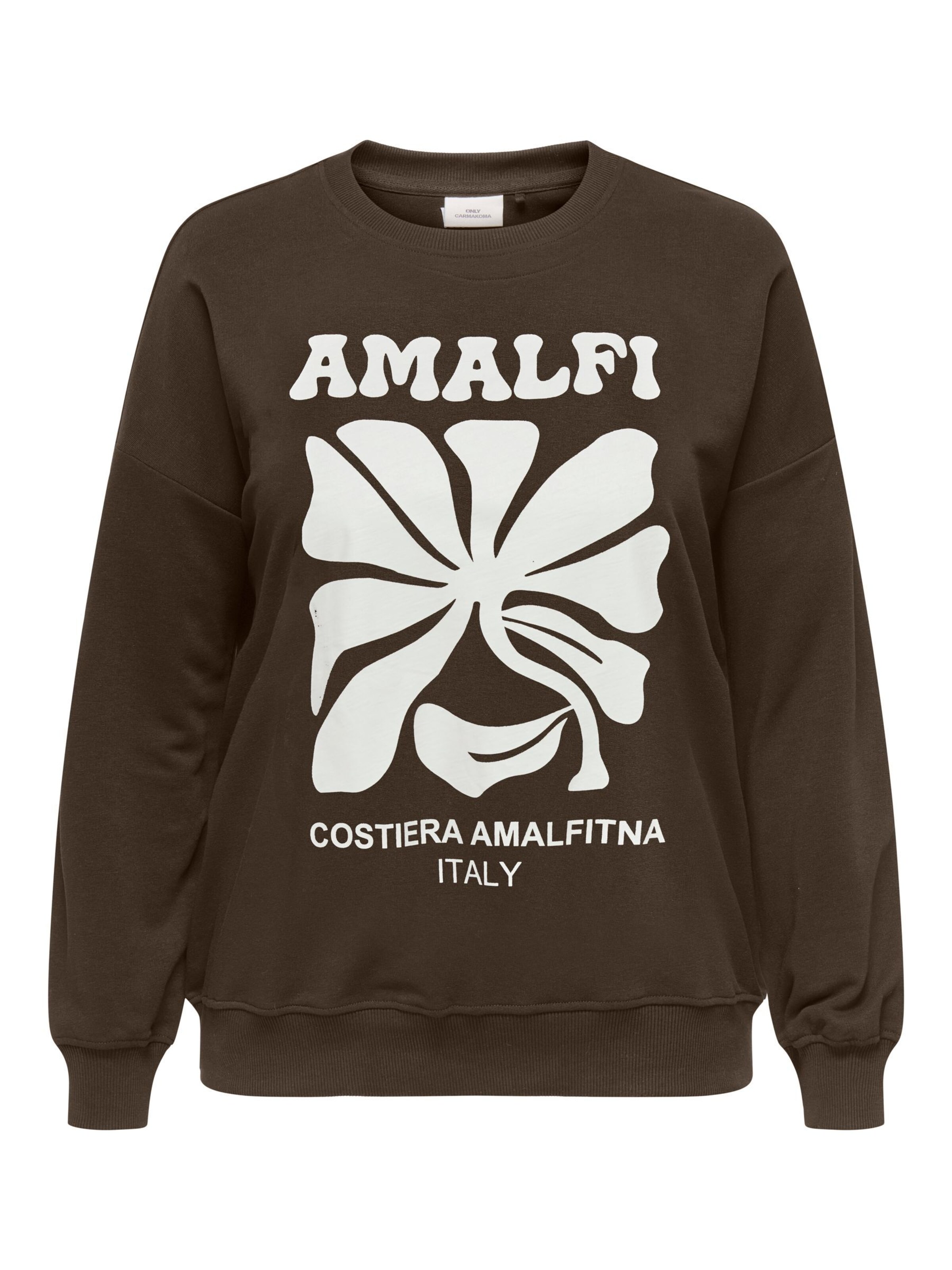 ONLY Carmakoma Sweatshirt 'CAREsmara' in Braun: Vorderseite