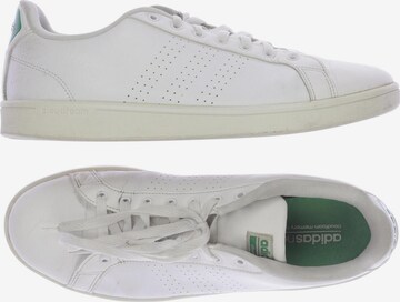ADIDAS NEO Sneakers & Trainers in 46,5 in White: front