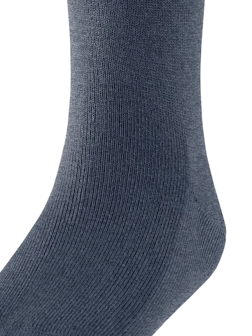 FALKE Socks in Blue