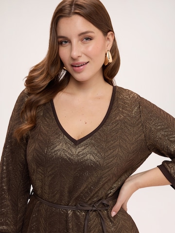 Fiorella Rubino Jurk in Bruin