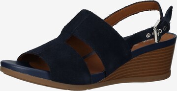 GEOX Sandals in Blue: front