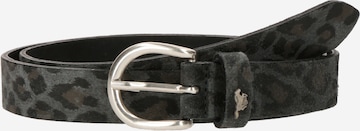 Ceinture MUSTANG en gris : devant
