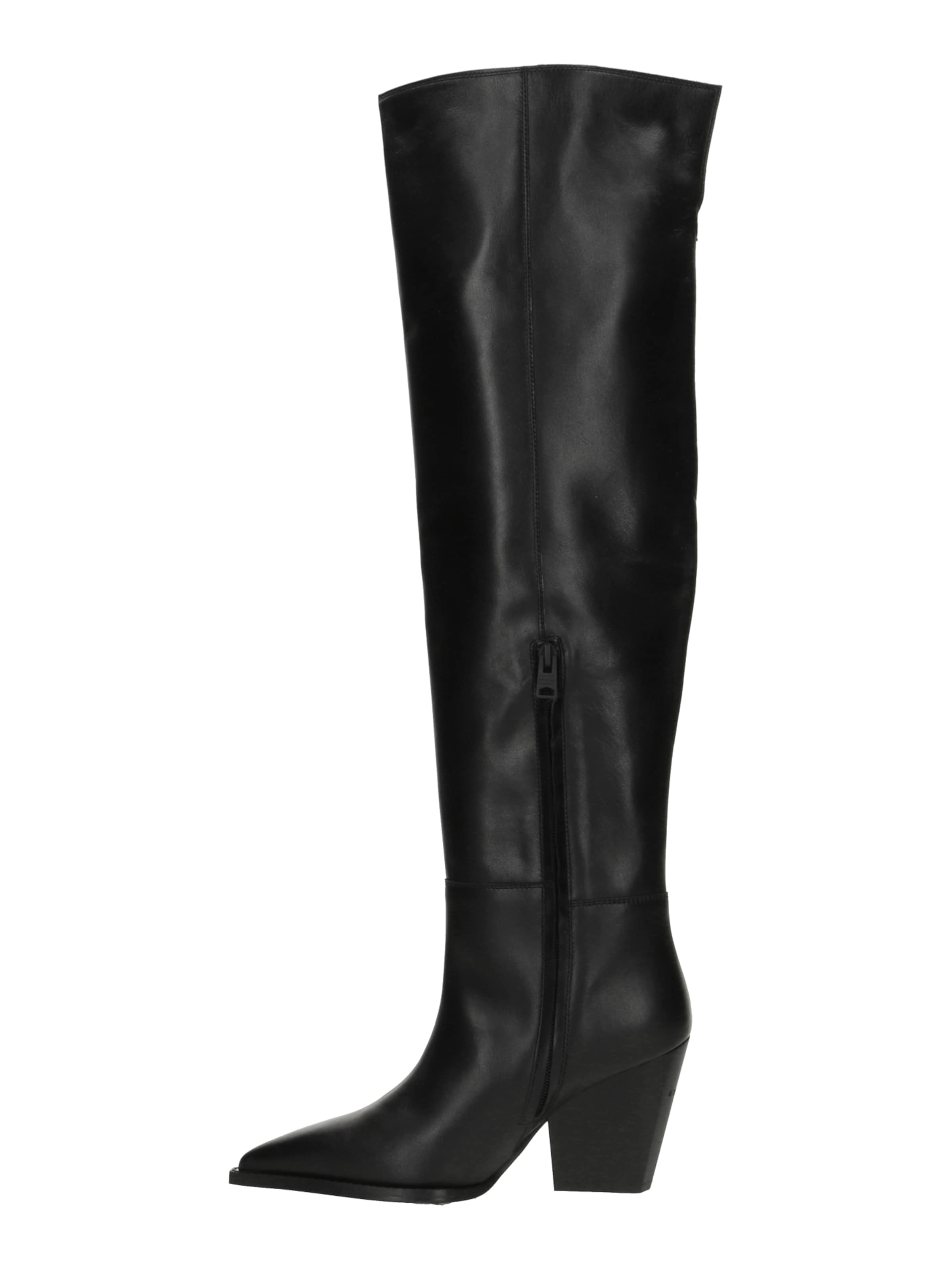 AllSaints Ботфорты 'REINA' в Черный