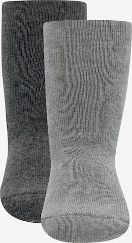 Chaussettes EWERS en gris : devant