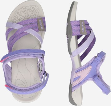 HI-TEC Sandals 'Savanna' in Purple
