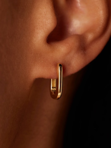 Lucardi Earrings in Gold: front