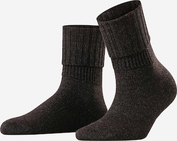 FALKE Socken in Braun: predná strana