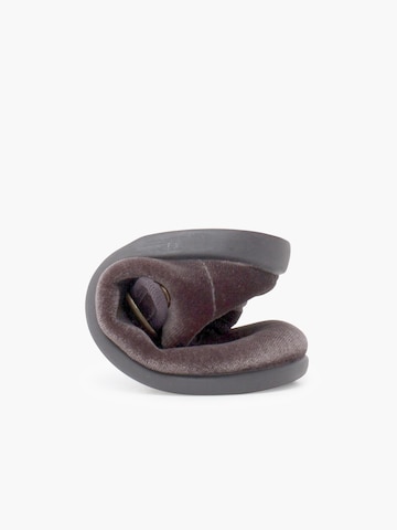 Pisamonas - Zapatos bajos en gris