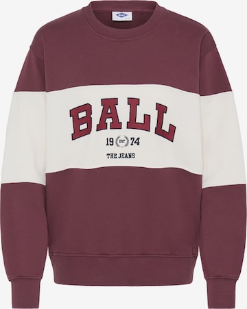 Ball Sweatshirt 'Montana' i brun: forside