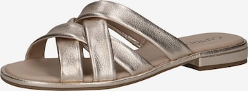 CAPRICE Pantolette in Gold: Vorderseite