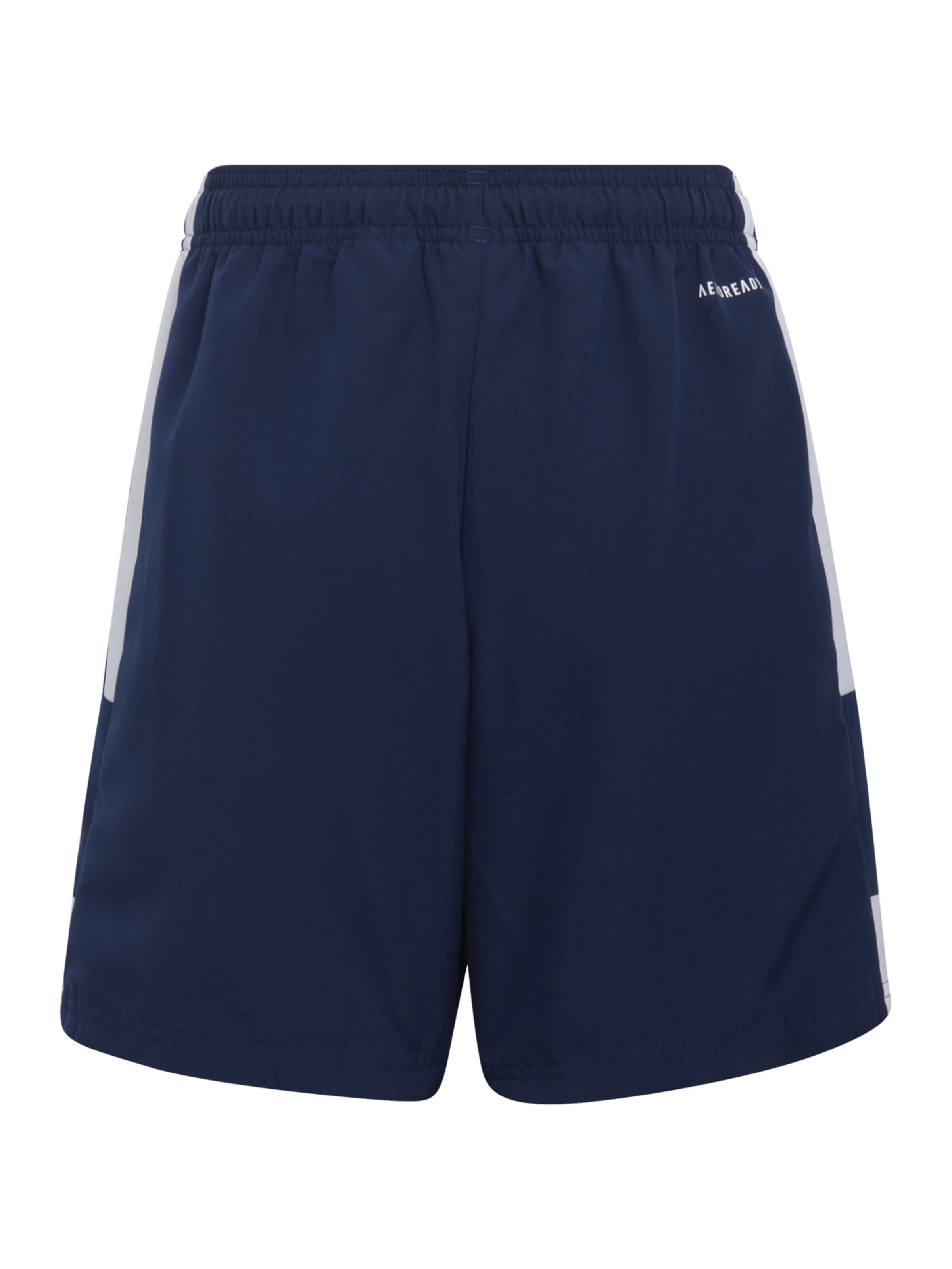 ADIDAS PERFORMANCE Regular Workout Pants 'Squadra 21' in Blue