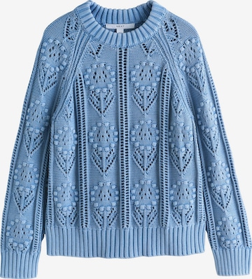 Pulover de la Next pe albastru: față